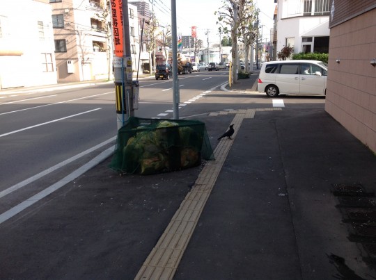 札幌本社の地域清掃活動（2013/10/22）