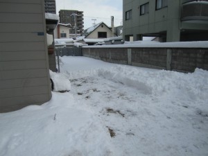 new_IMG_1251