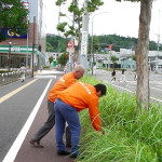 東北２