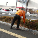tohoku1
