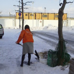 hakodate1