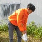 tomaD