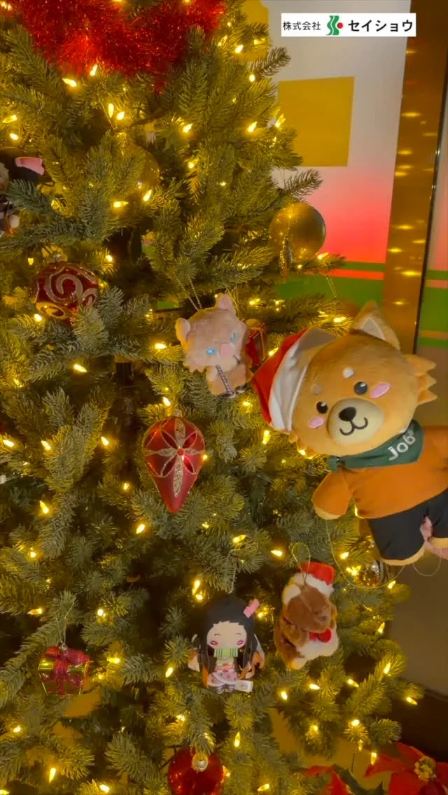 クリスマスツリーを飾りました🎄✨
#株式会社セイショウ
#人材派遣 #派遣 #求人
#北海道 #札幌 
#christmas #クリスマス #クリスマスケーキ 
#鬼滅の刃