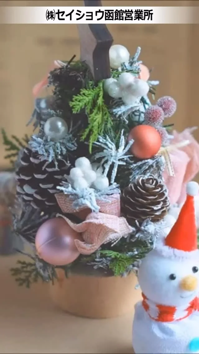 #株式会社セイショウ
#人材派遣 #派遣 #求人 #お仕事
#北海道 #函館 #christmas #クリスマス