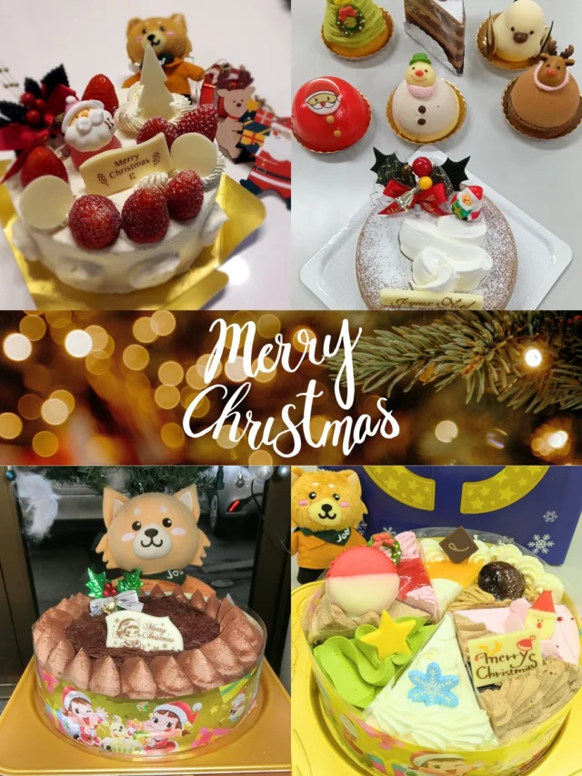 🎄Merry Christmas🎄
今年も当社よりクリスマスケーキをいただきました🎂
各営業所でパシャリ📸美味しくいただきました！
皆さまも素敵なクリスマスをお過ごしください✨

#株式会社セイショウ
#人材派遣 #派遣 #求人
#北海道 #札幌 #苫小牧 #旭川 #函館
#クリスマス #クリスマスケーキ #ケーキ #cake
#christmas #christmascake #xmas