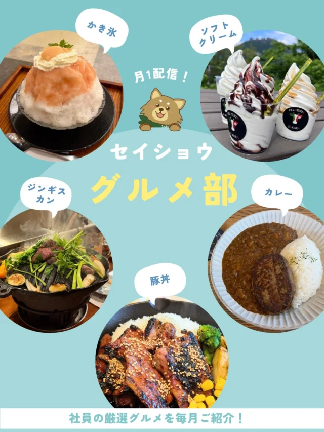 今月のグルメ部です😋🍴
#グルメ #北海道 #札幌 #定山渓 #旭川 苫小牧 ジンギスカン かき氷 豚丼 ハンバーグ カレー プリン アイス ソフトクリーム